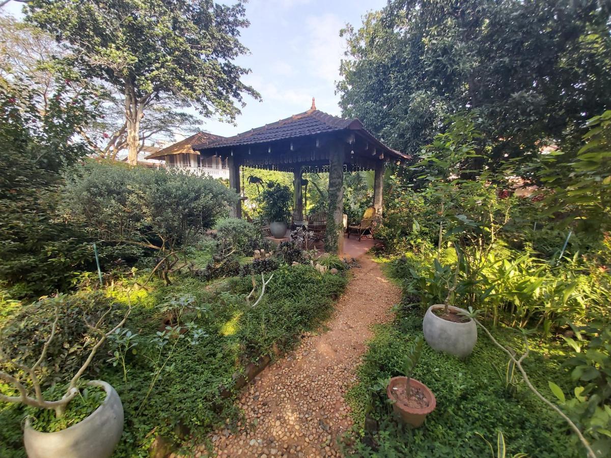 Gaia'S Garden Guest House Auroville Exteriör bild
