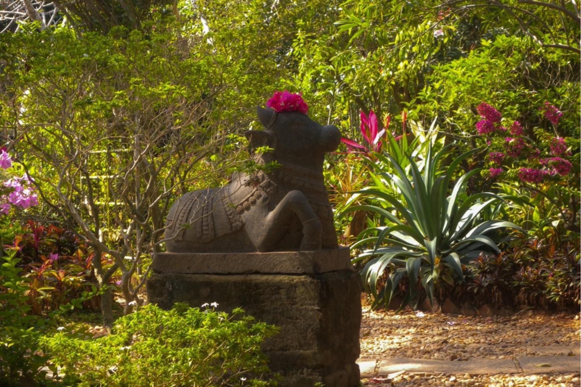 Gaia'S Garden Guest House Auroville Exteriör bild