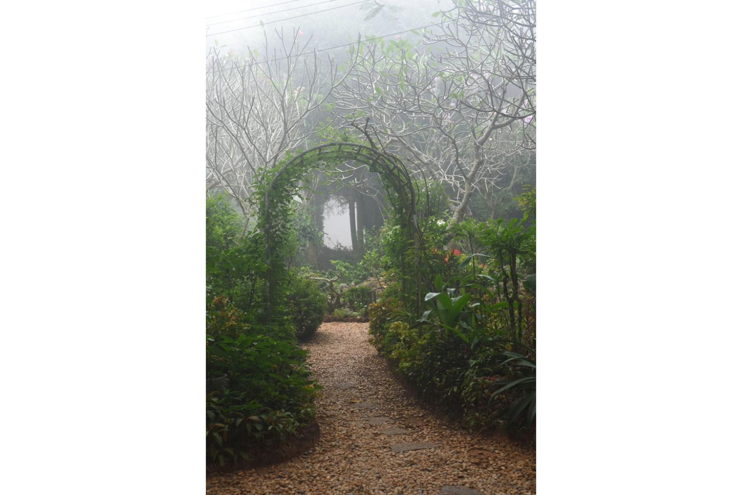 Gaia'S Garden Guest House Auroville Exteriör bild