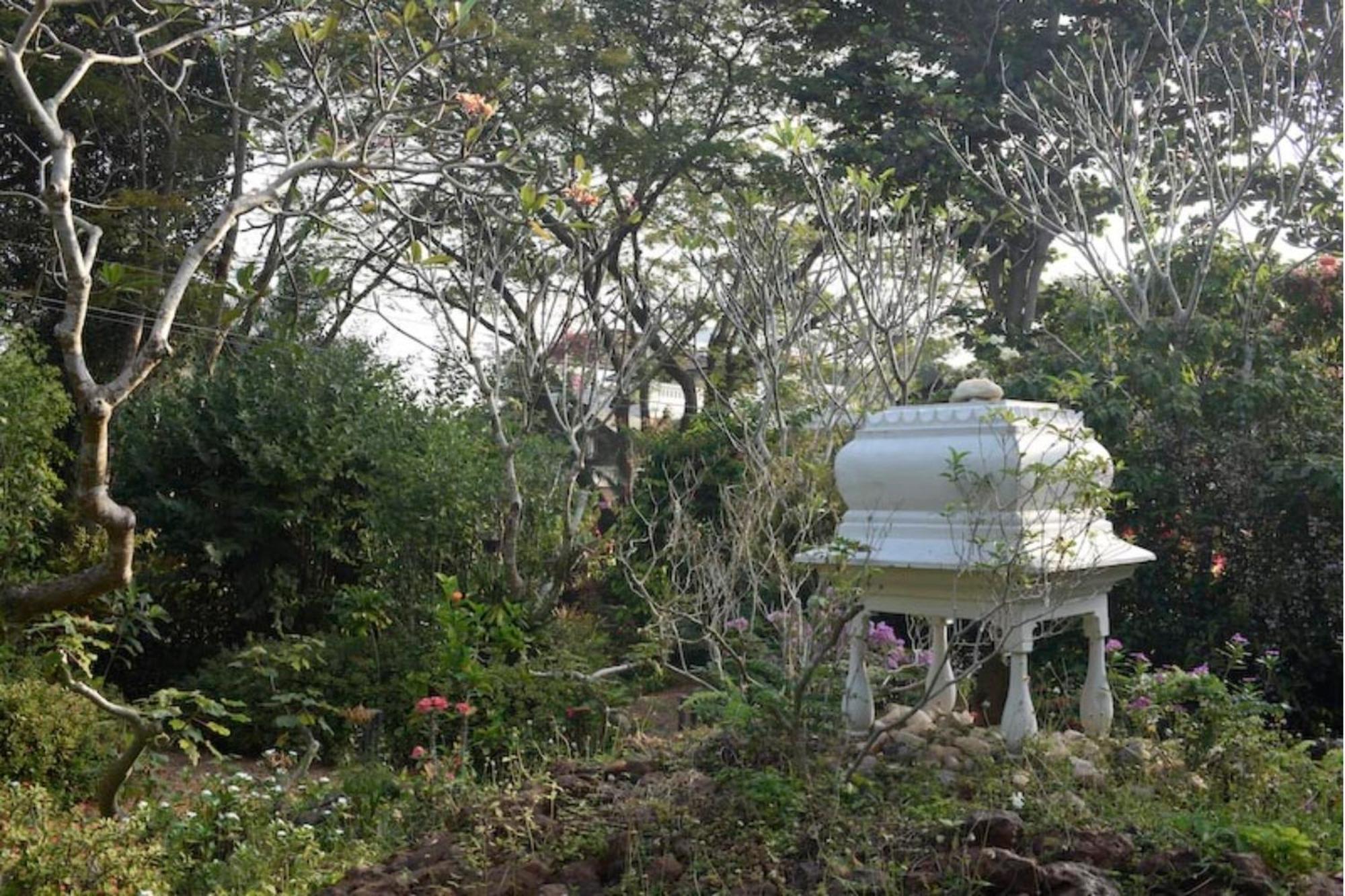 Gaia'S Garden Guest House Auroville Exteriör bild