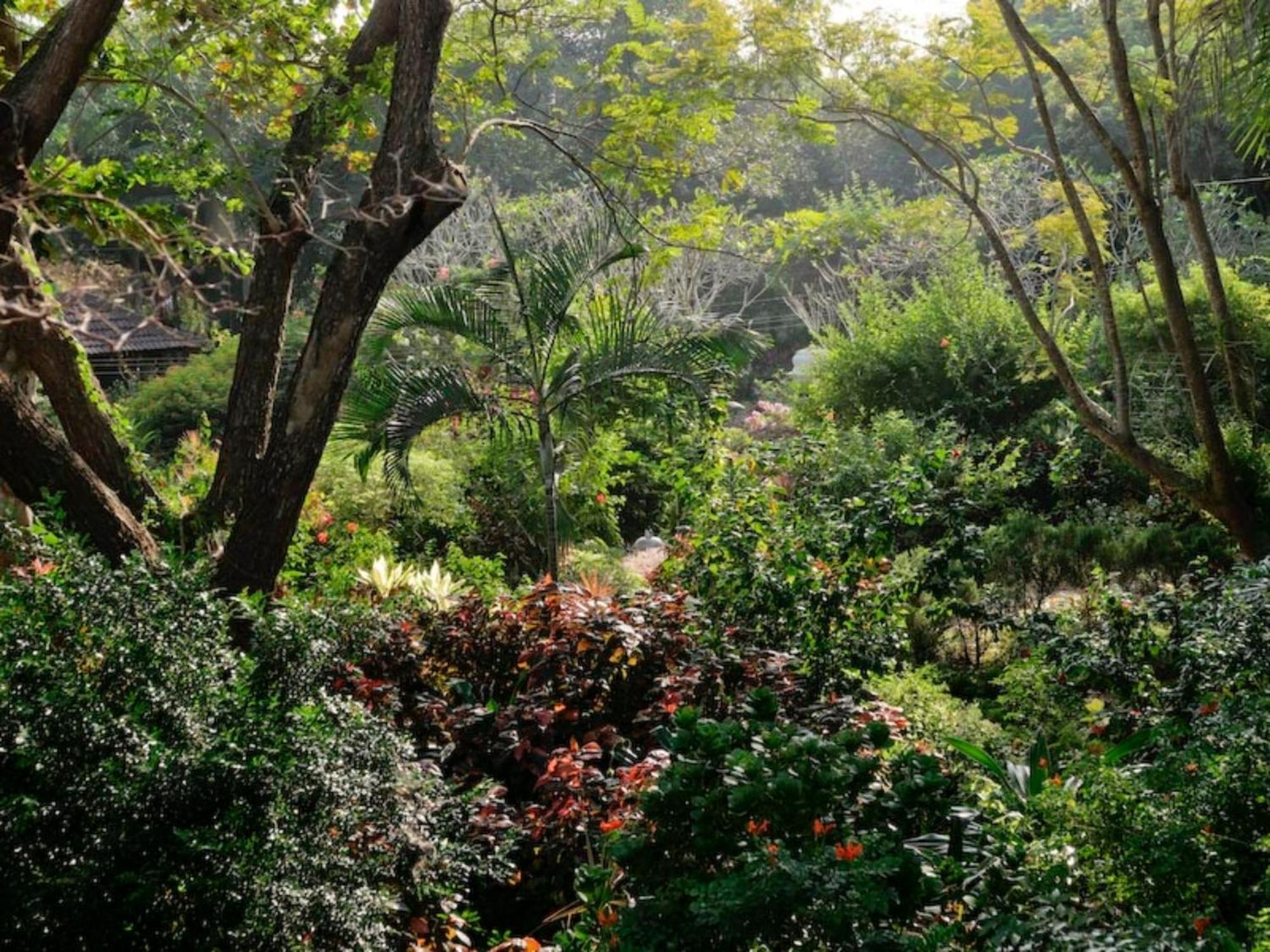 Gaia'S Garden Guest House Auroville Exteriör bild